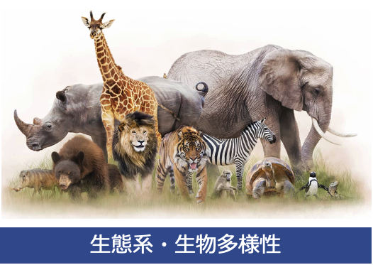 生態系・生物多様性